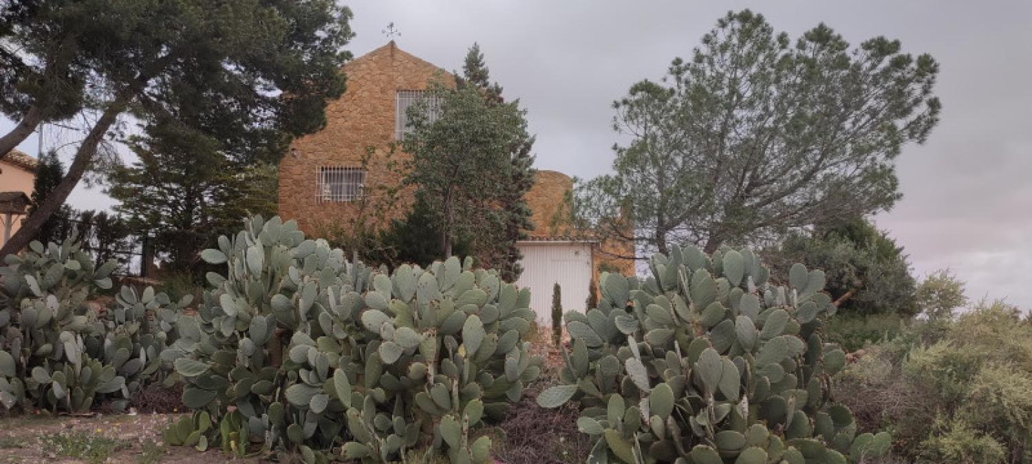  à vendre maison La Higuera Monte Ibérico Almansa 5
