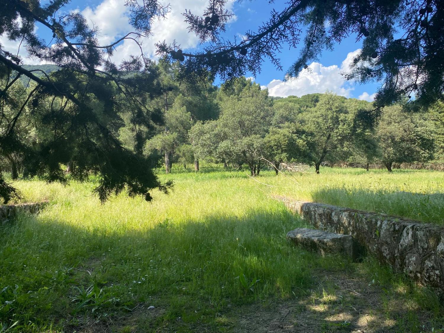  à vendre terrain Sotillo De La Adrada Valle Del Tiétar 1
