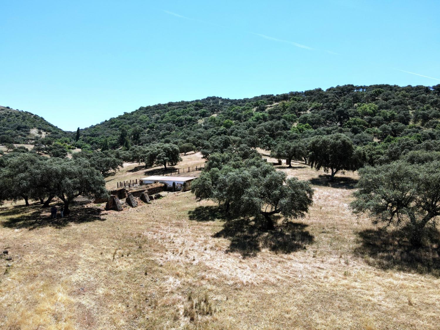  à vendre maison de campagne Cazalla De La Sierra Sierra Norte 7