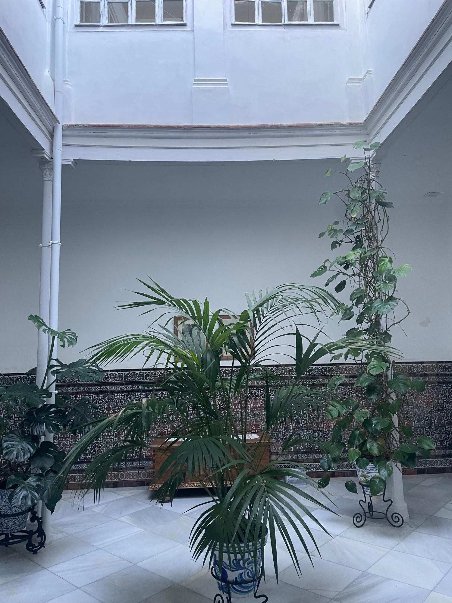  à vendre maison Écija Écija 25