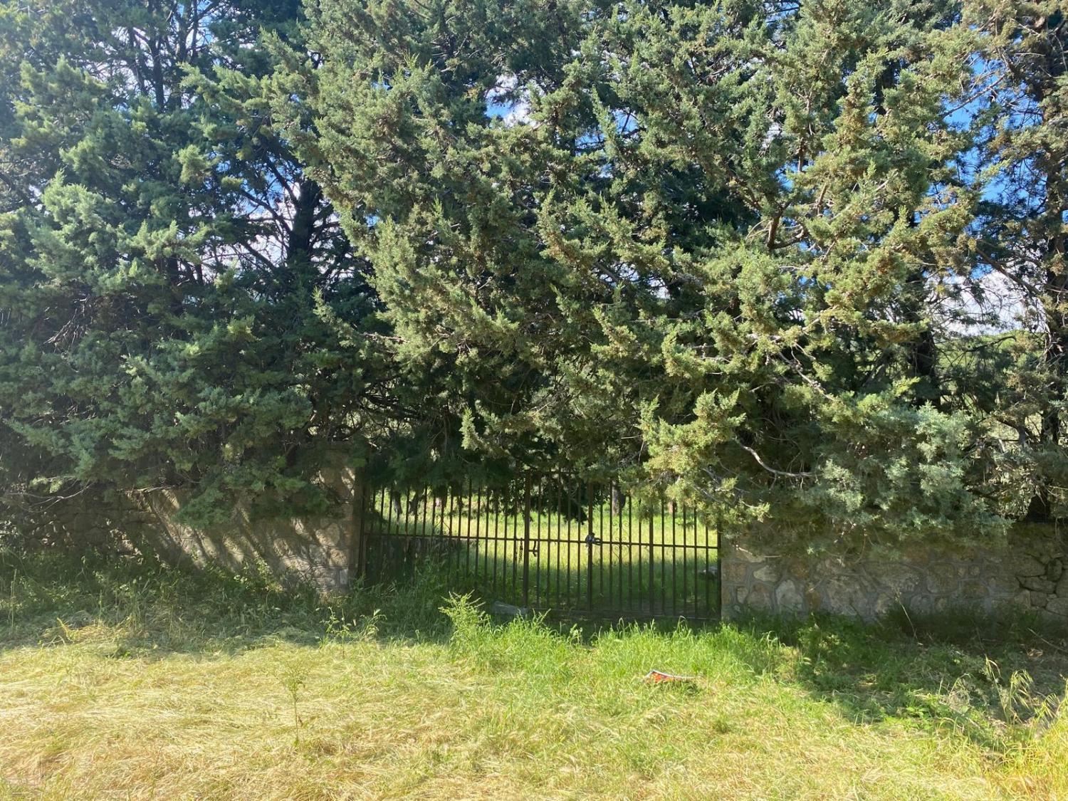  à vendre terrain Sotillo De La Adrada Valle Del Tiétar 6