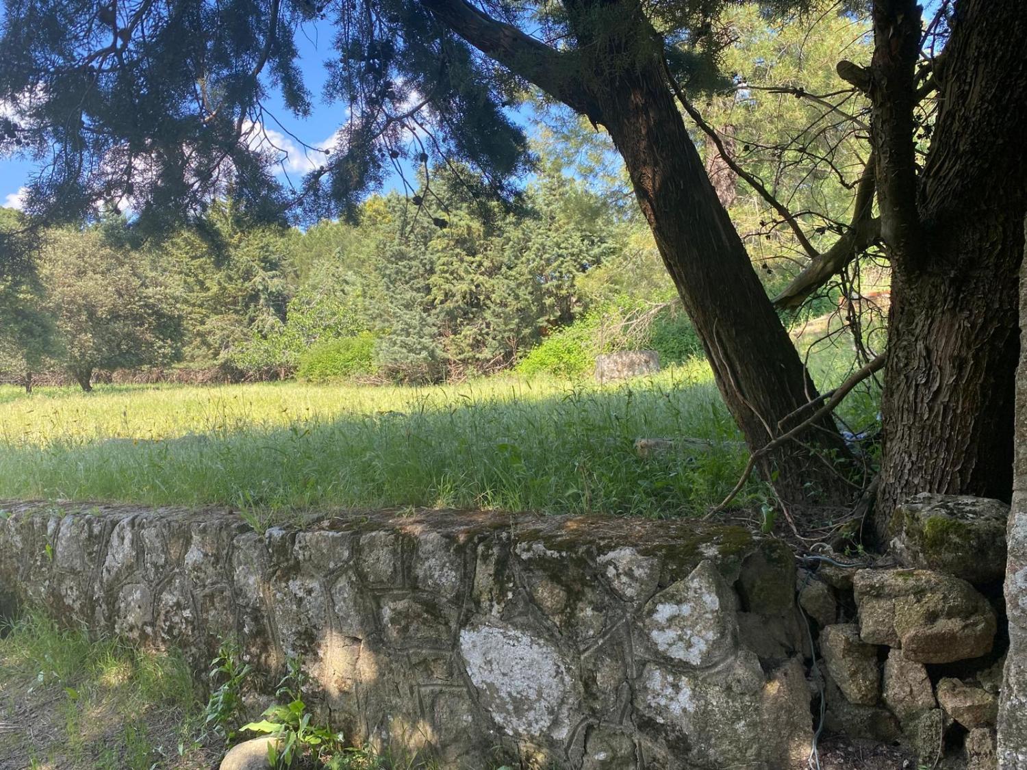  à vendre terrain Sotillo De La Adrada Valle Del Tiétar 4