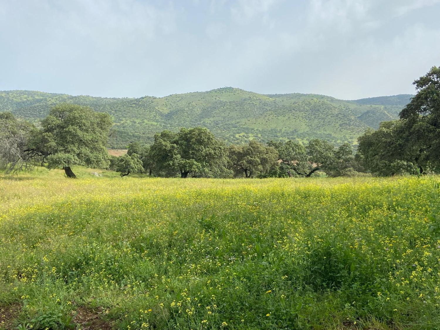  à vendre maison de campagne Cazalla De La Sierra Sierra Norte 4