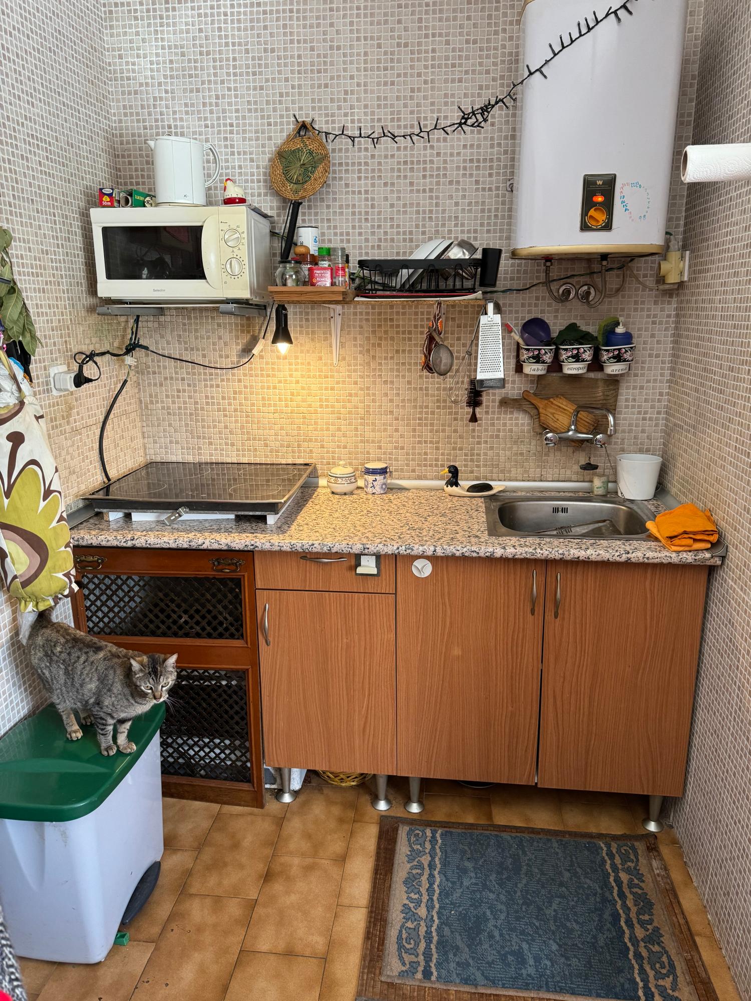  à vendre maison de campagne Arguero Gijón 26