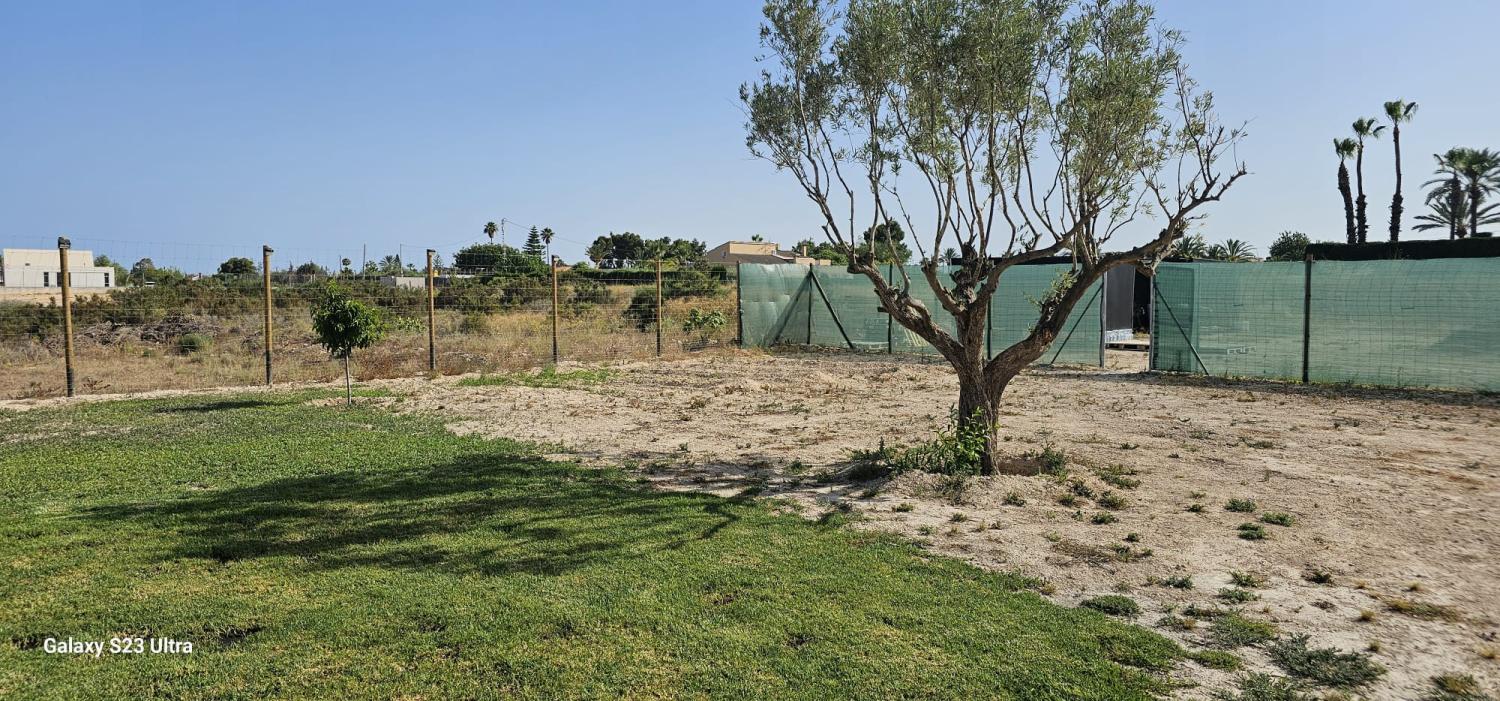  à vendre maison de campagne Perleta Baix Vinalopó 11