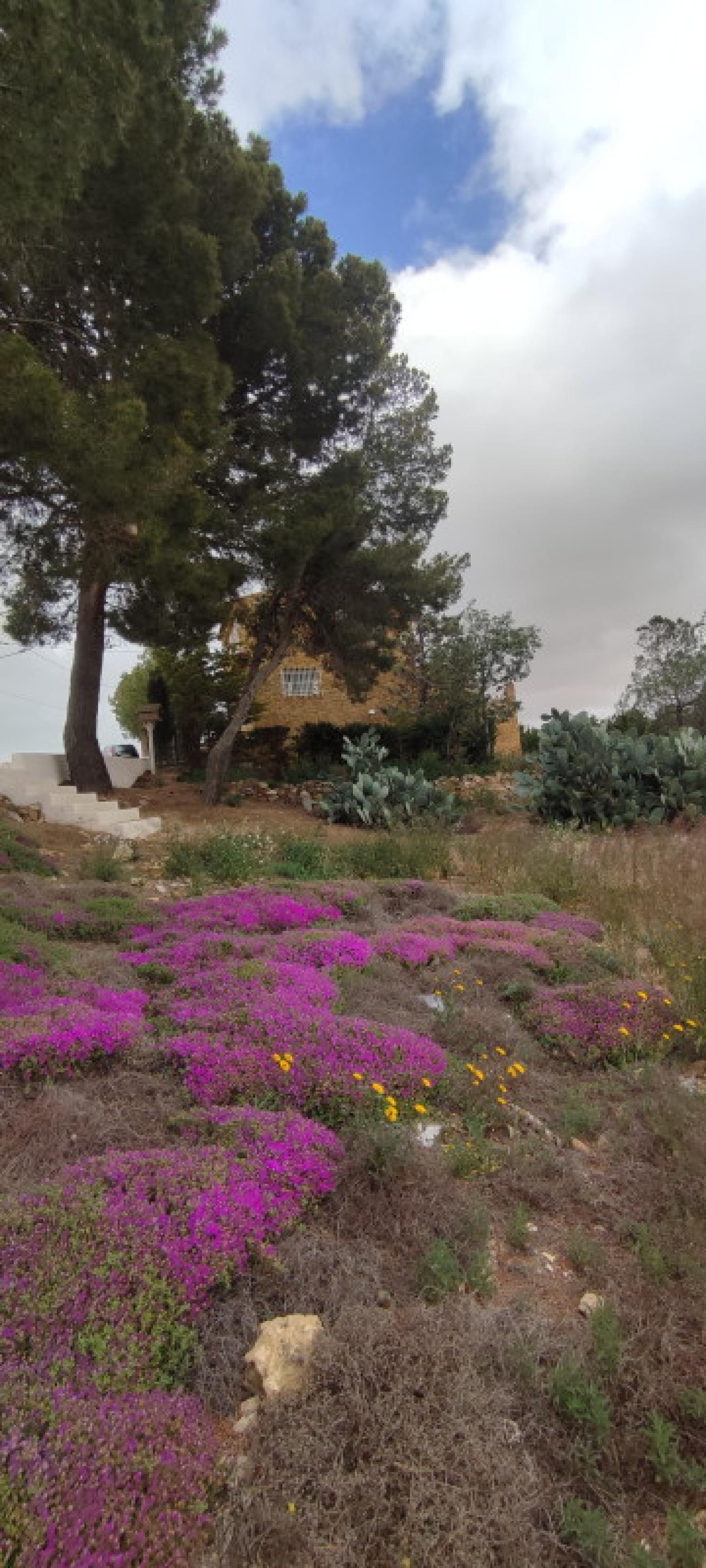  à vendre maison La Higuera Monte Ibérico Almansa 4