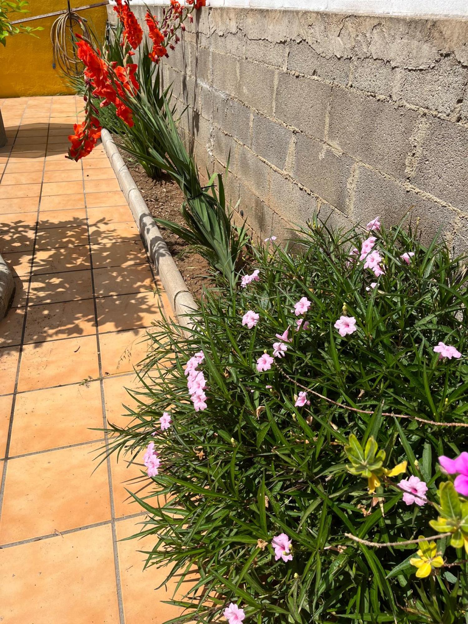  à vendre villa Grao Plana Alta 50
