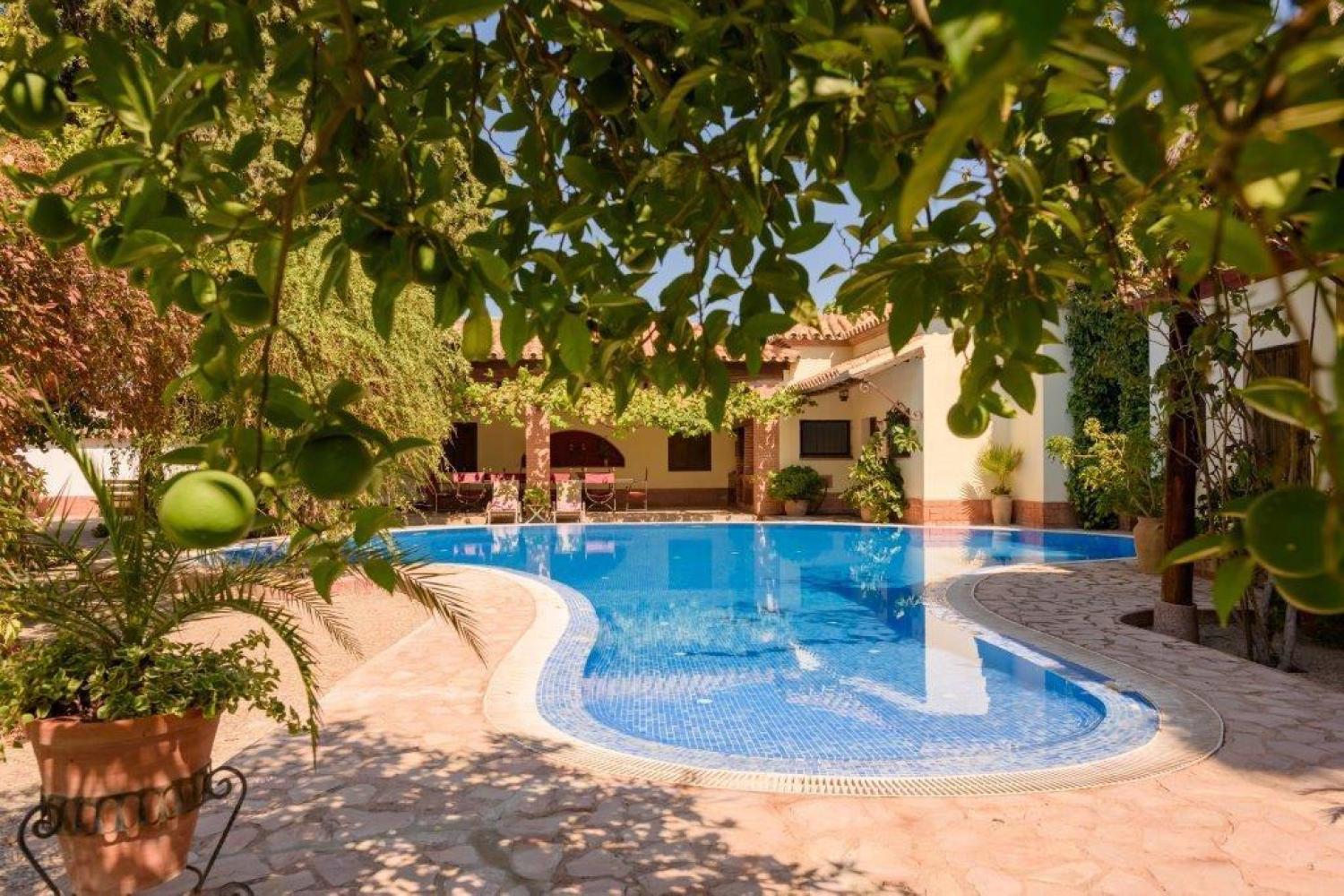  à vendre villa Écija Écija 1