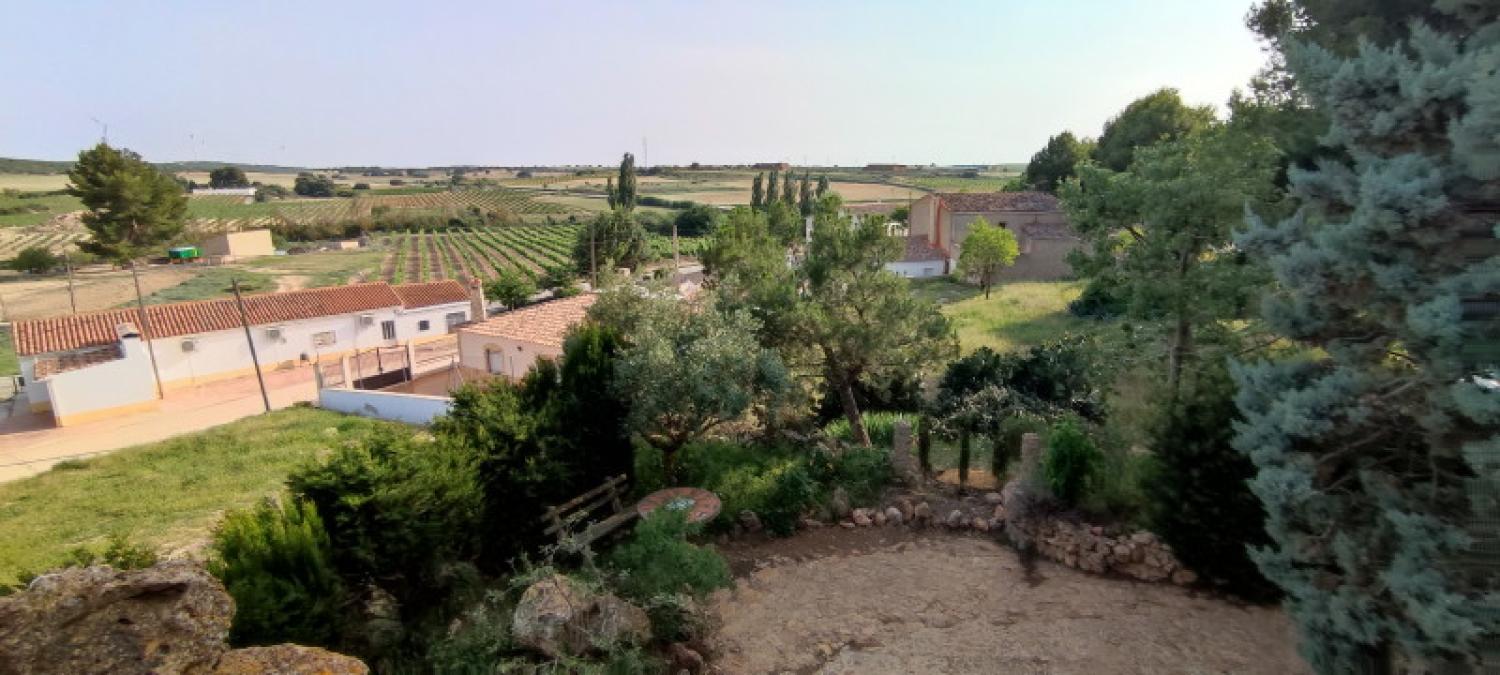  à vendre maison La Higuera Monte Ibérico Almansa 38