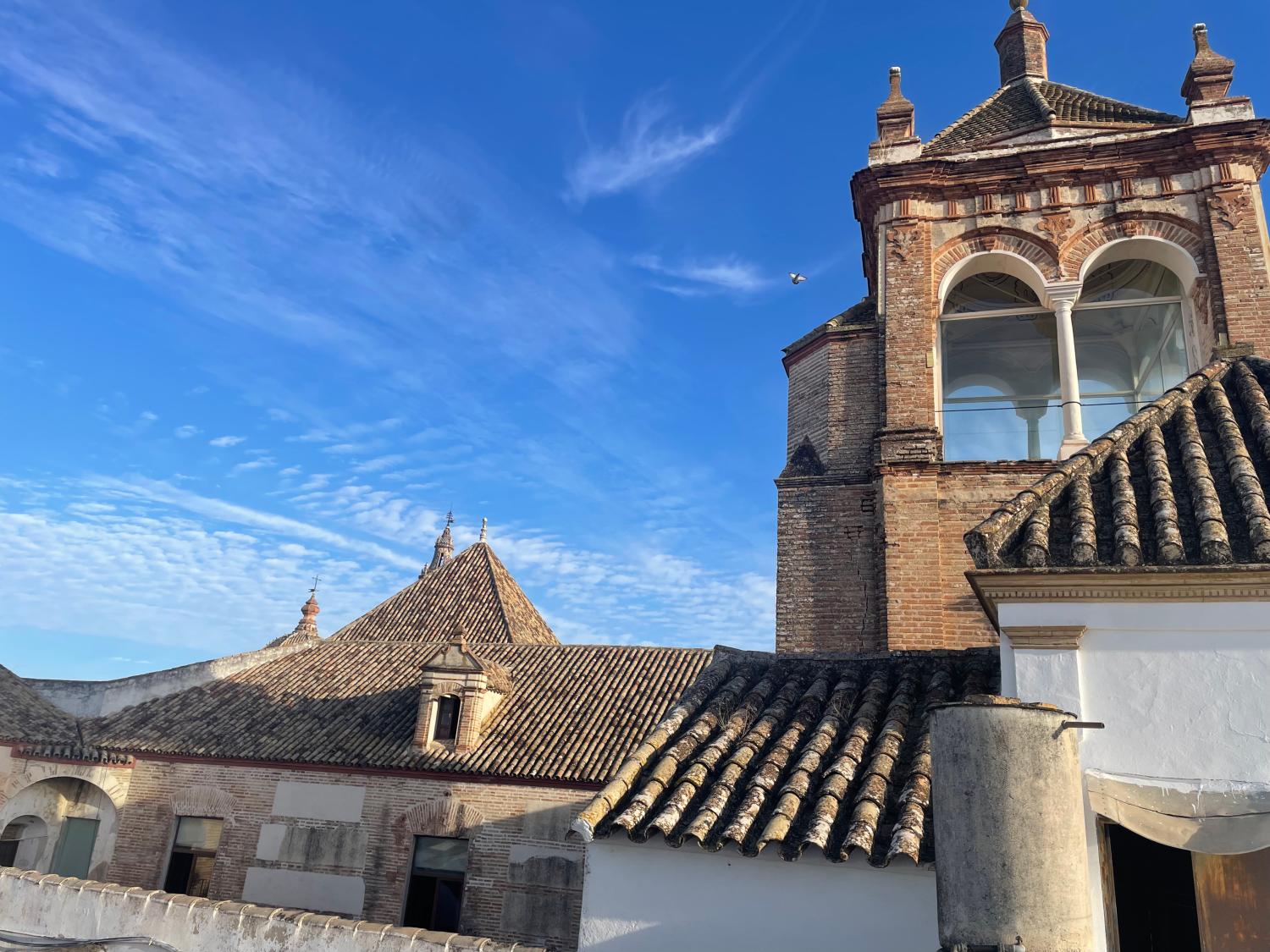  à vendre maison Écija Écija 38