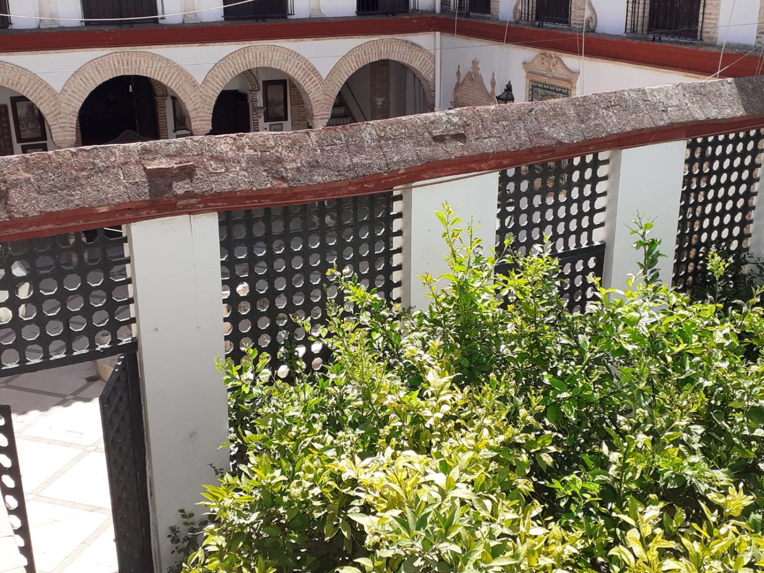  à vendre maison de maître Écija Écija 16