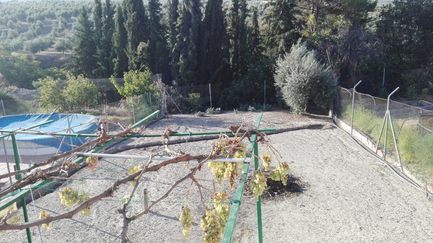  à vendre maison de ville Gutar Villas (Las) 18
