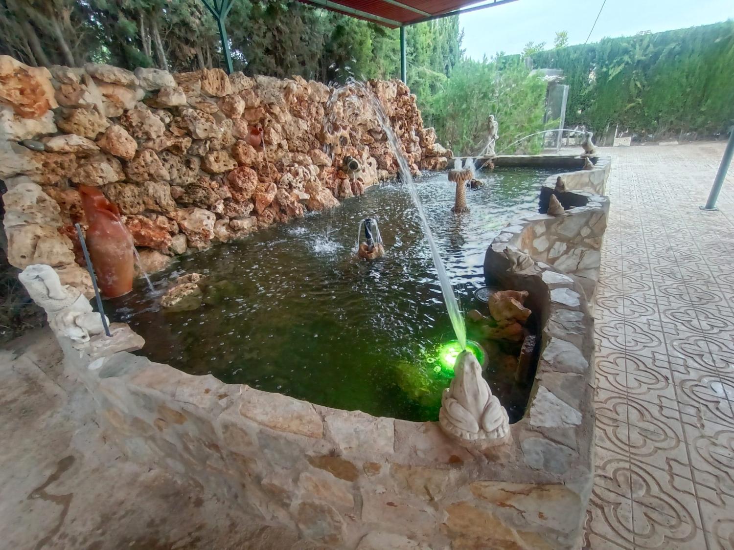  à vendre villa Crevillent Baix Vinalopó 6