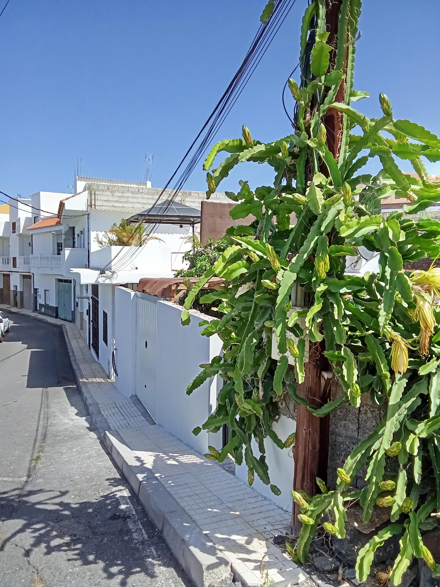  à vendre villa Los Menores Zona Sur 20