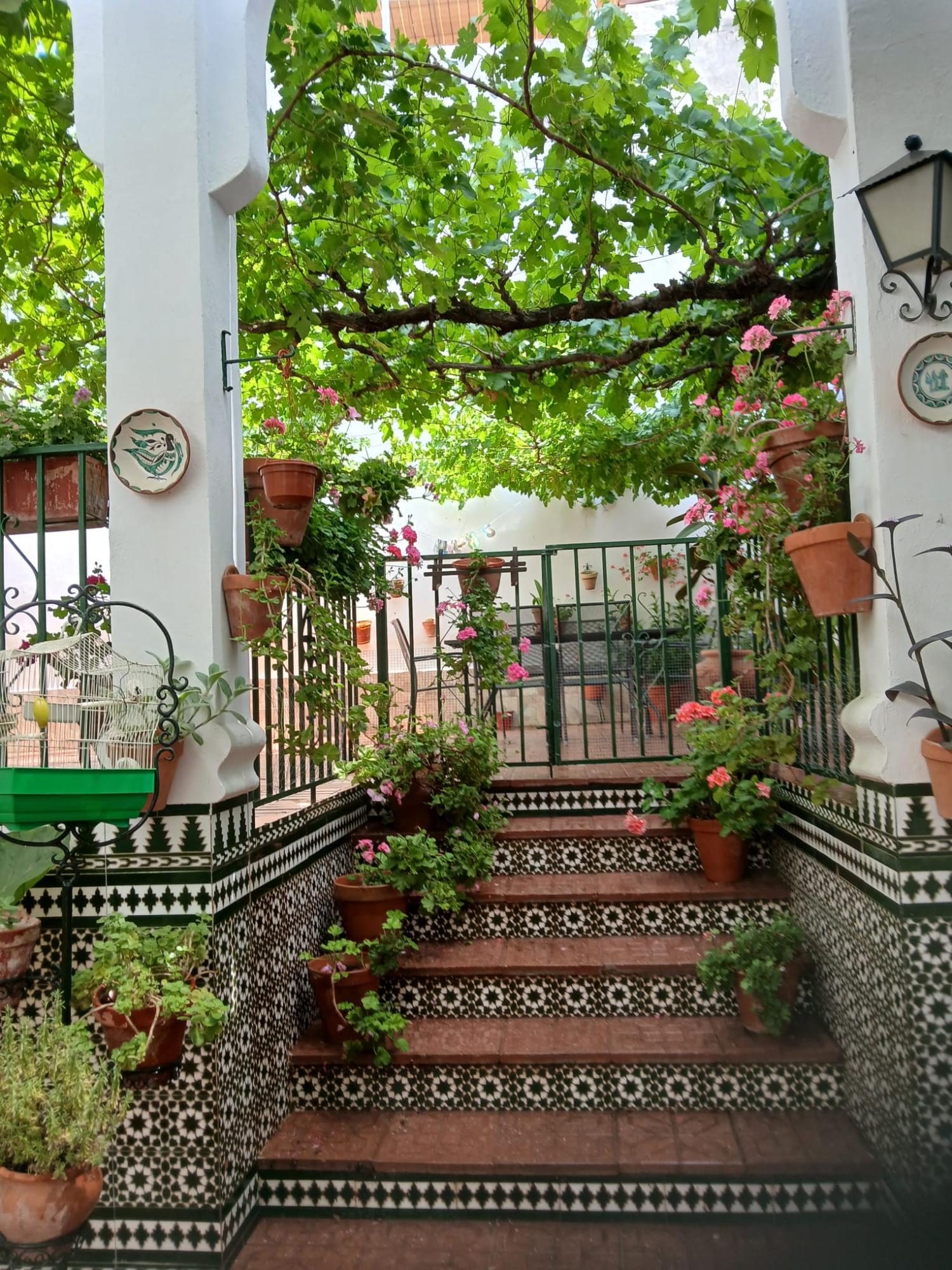  à vendre maison Cabra Subbética 26