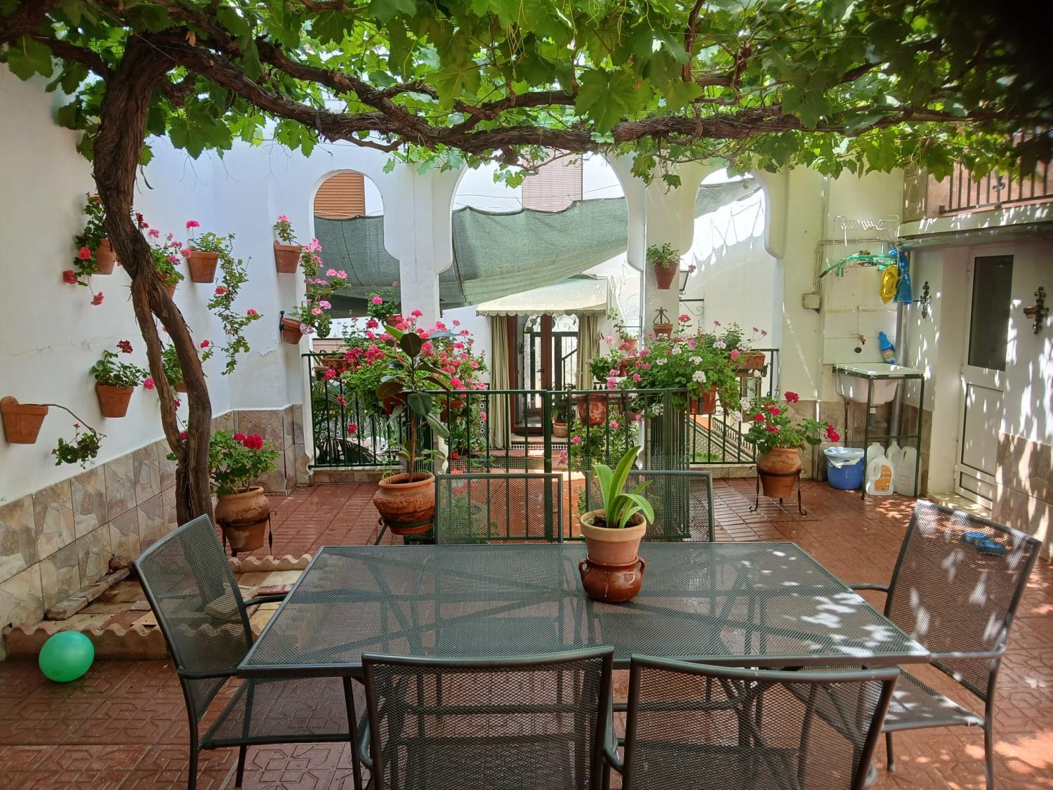  à vendre maison Cabra Subbética 19
