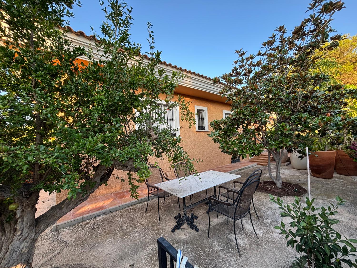  à vendre villa San Vicente Del Raspeig Alacantí 25