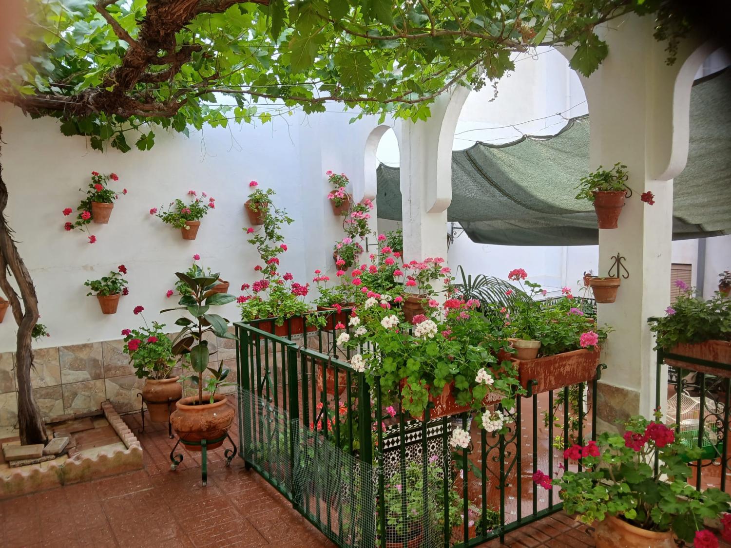  à vendre maison Cabra Subbética 27