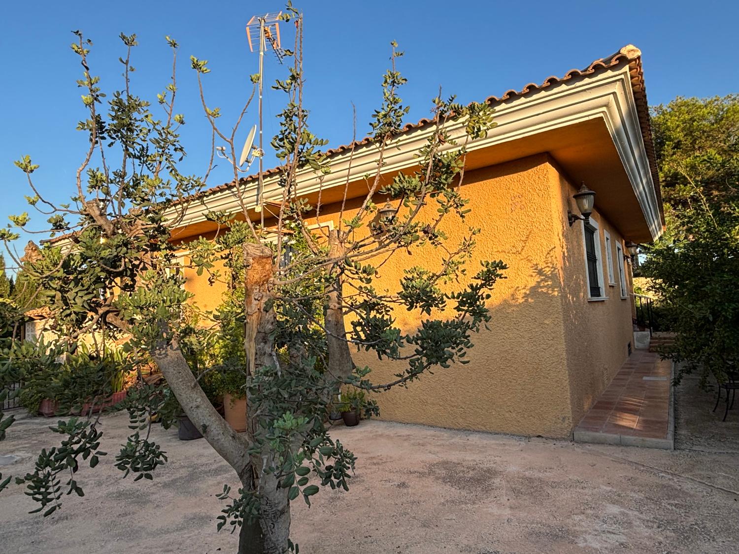  à vendre villa San Vicente Del Raspeig Alacantí 26