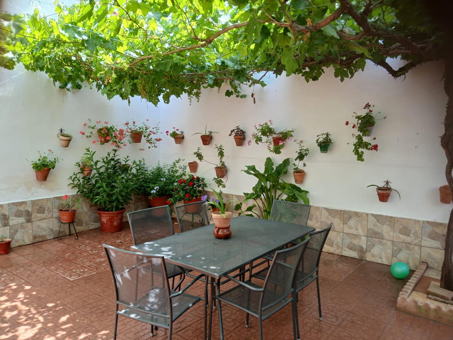  à vendre maison Cabra Subbética 18
