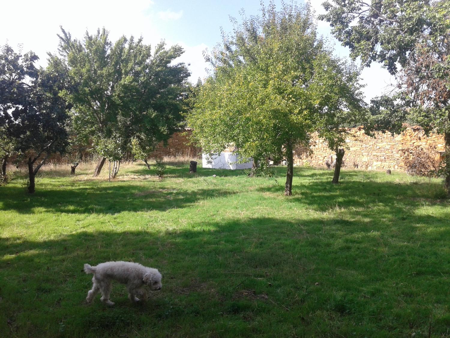  à vendre maison de campagne Val De San Lorenzo Astorga 11