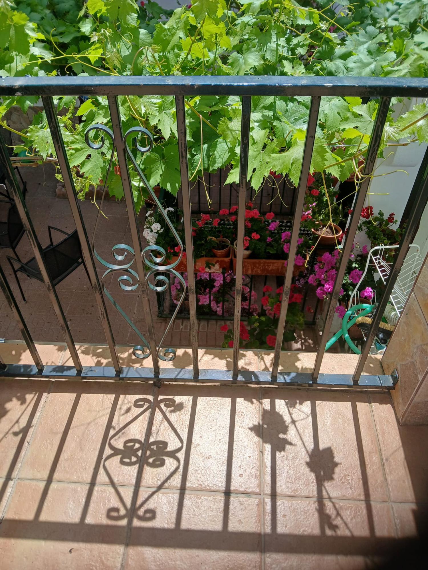  à vendre maison Cabra Subbética 21