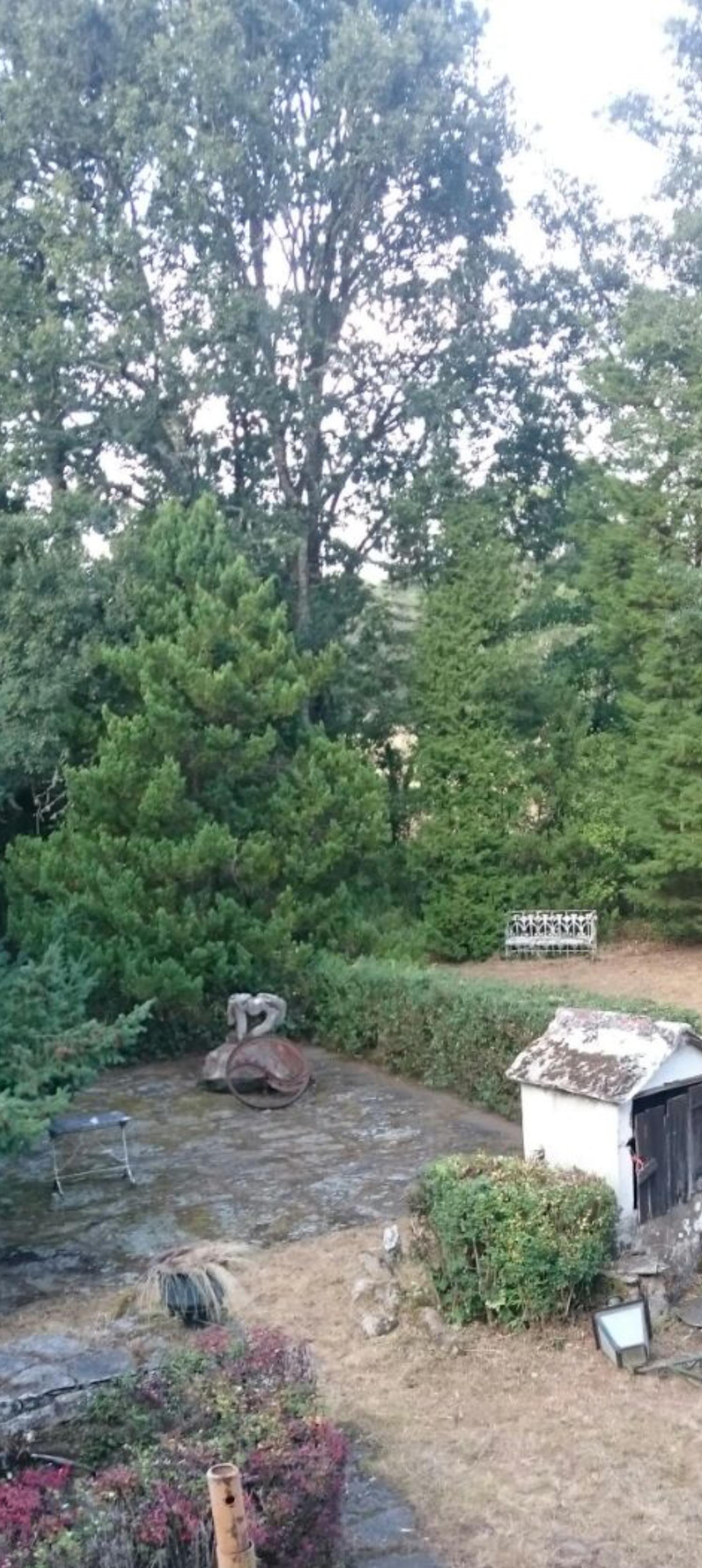  à vendre maison de campagne Begonte Terra Chá 3