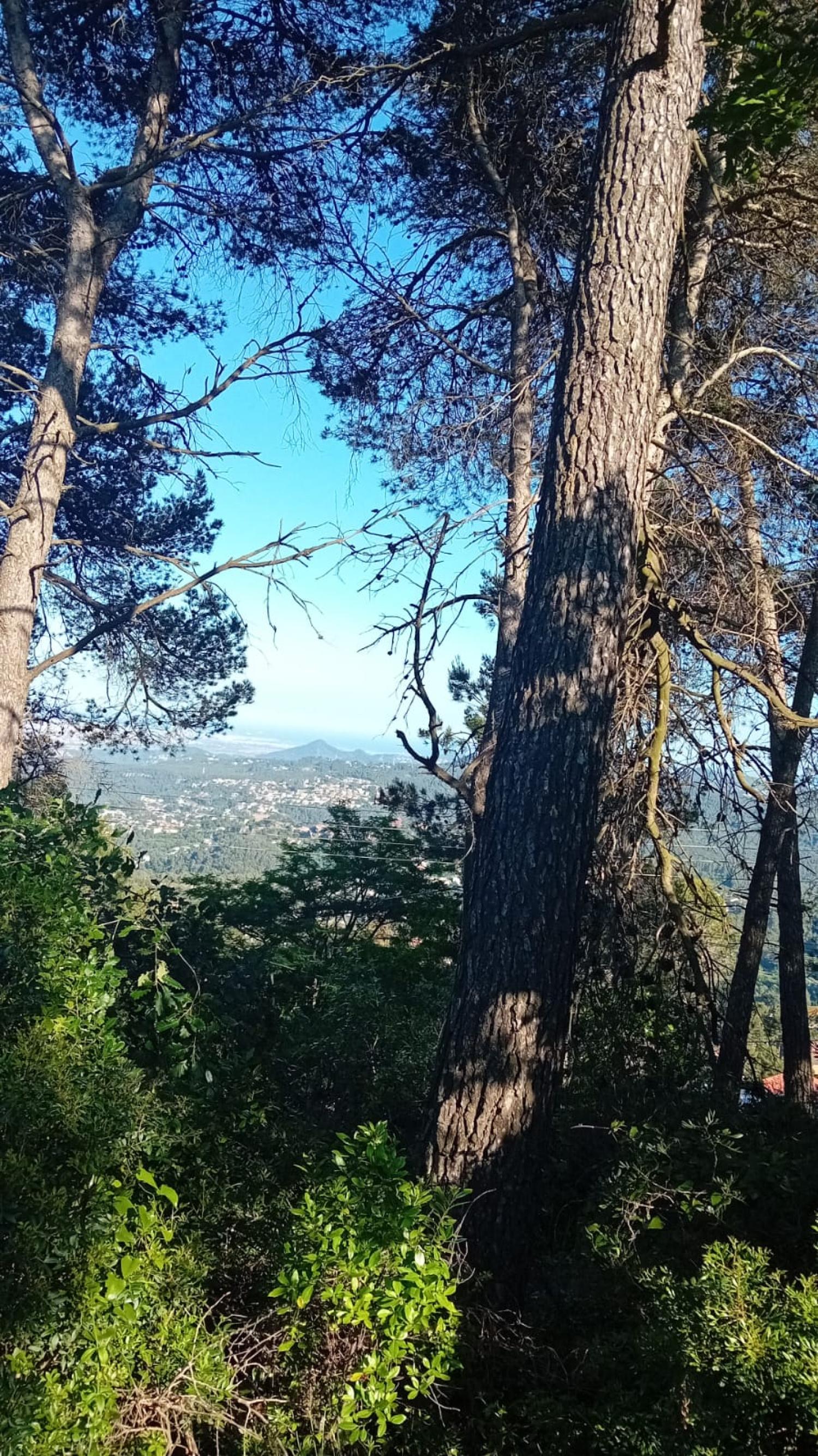à vendre terrain Corbera De Llobregat Baix Llobregat 2
