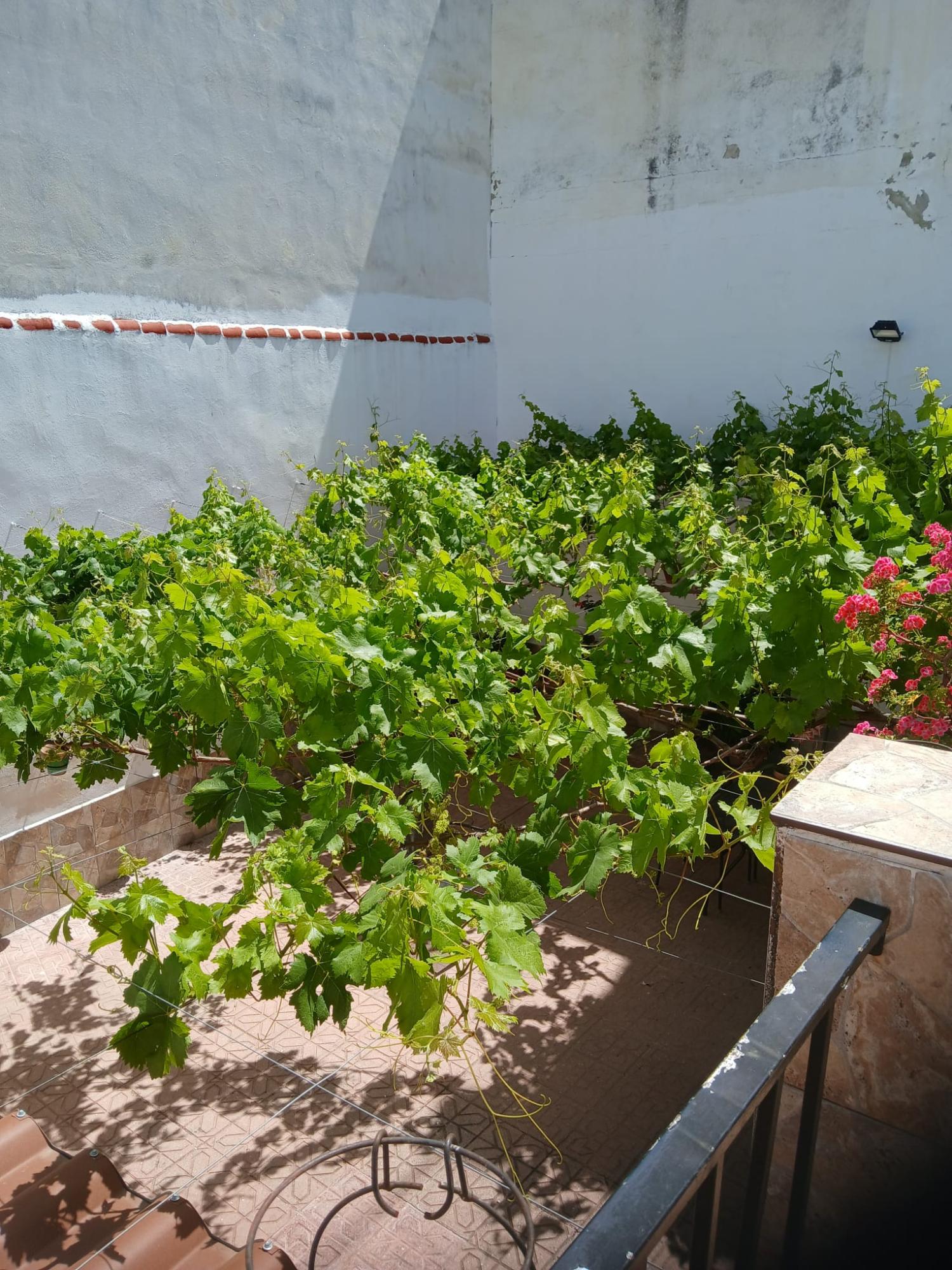  à vendre maison Cabra Subbética 20