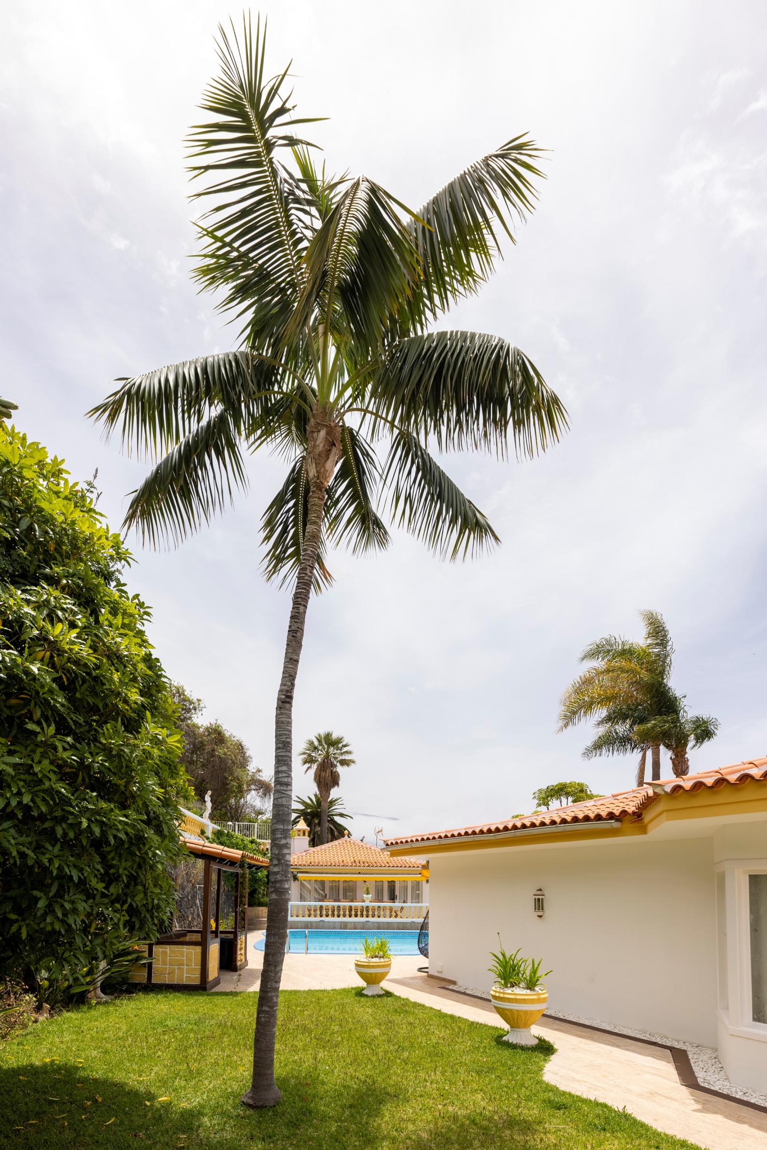  à vendre villa La Orotava 38312 Zona Norte 47