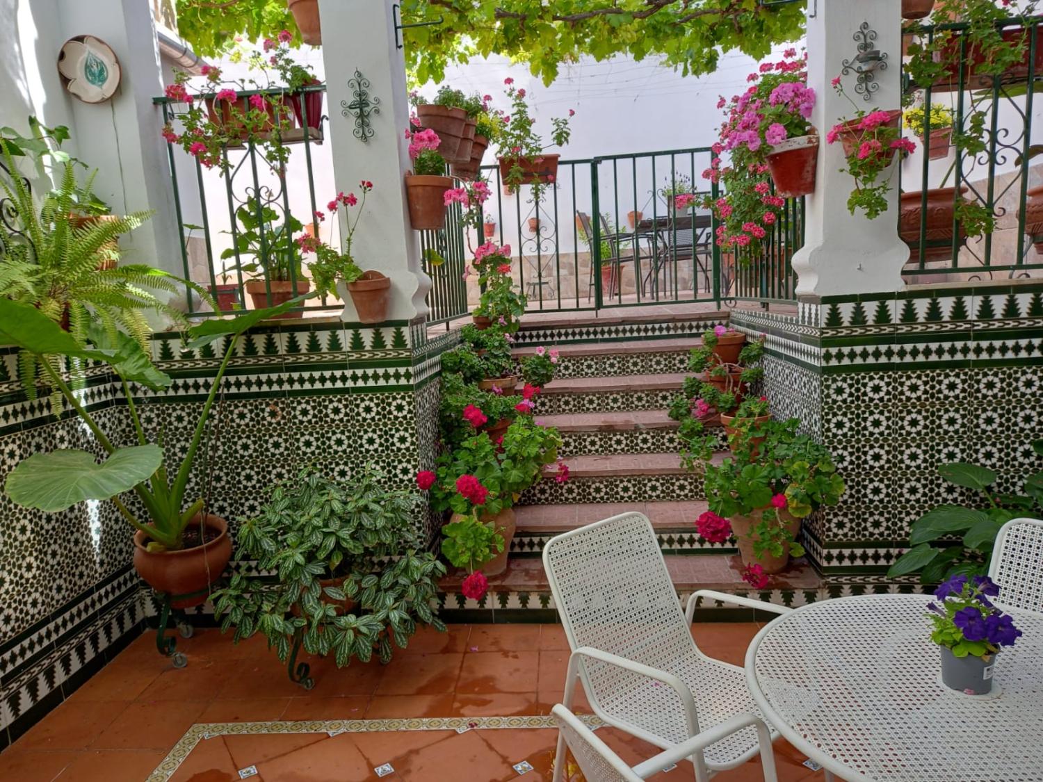  à vendre maison Cabra Subbética 17