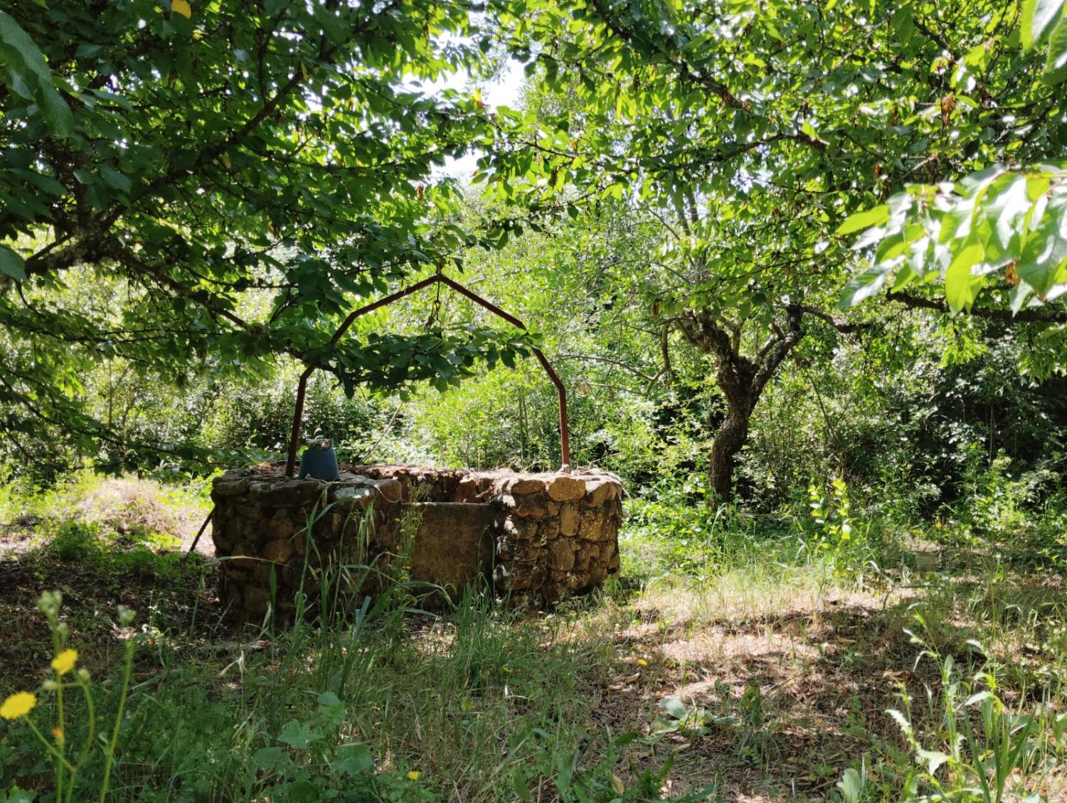  à vendre maison de campagne Cañamero Villuercas 7