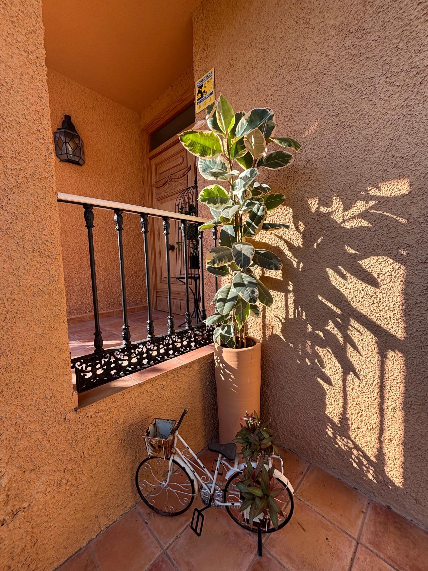  à vendre villa San Vicente Del Raspeig Alacantí 12