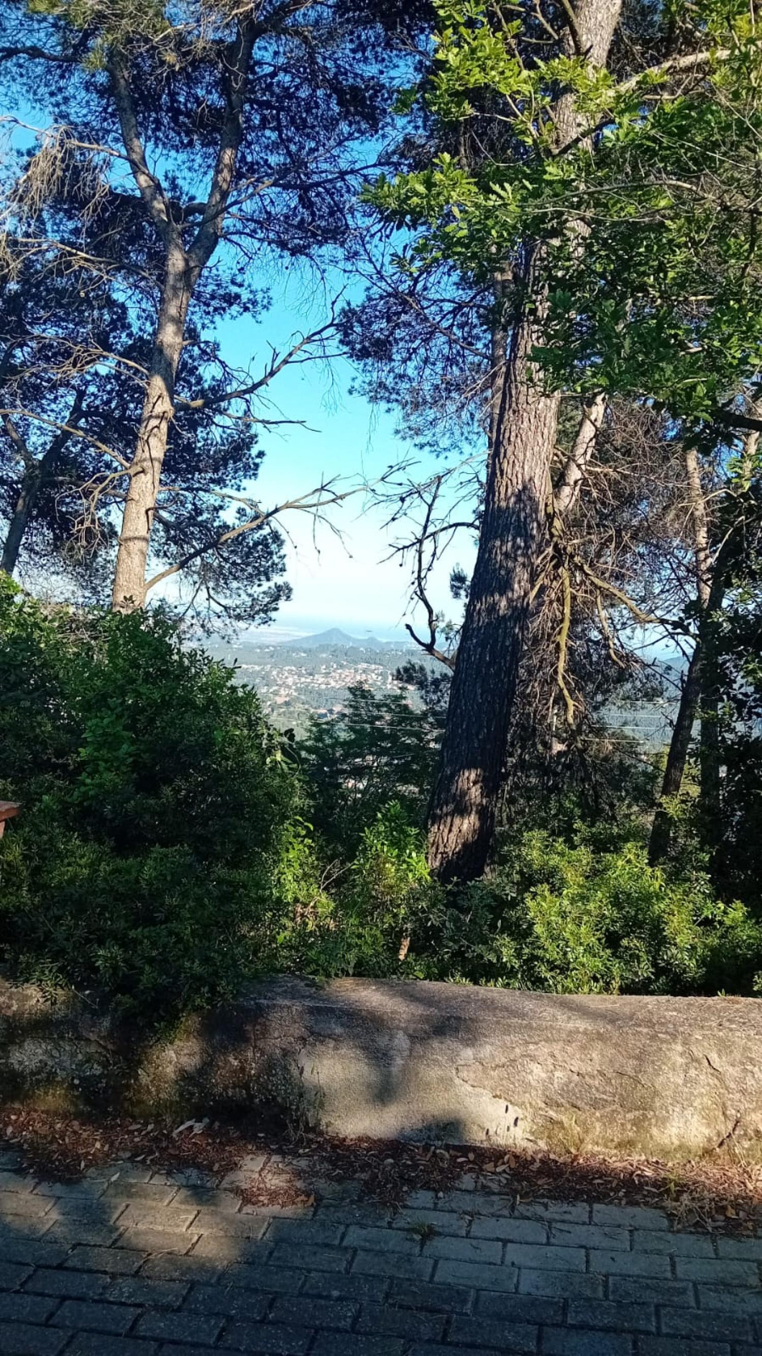 à vendre terrain Corbera De Llobregat Baix Llobregat 3