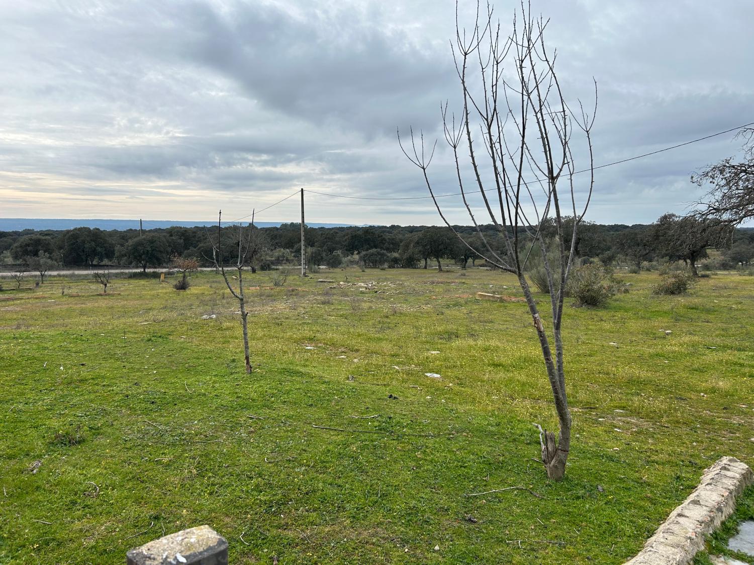  à vendre maison de campagne Serradilla Monfragüe 23