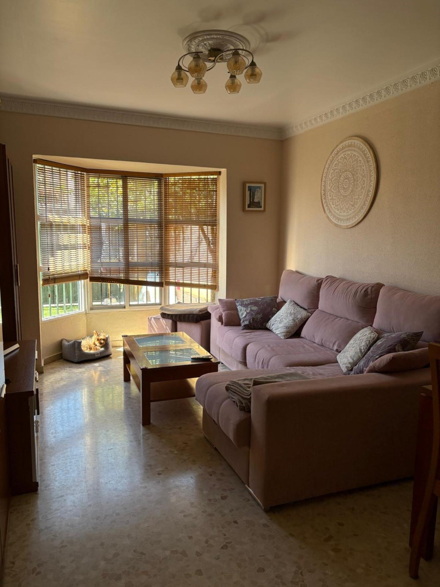  à vendre maison jumelée Chiclana De La Frontera Bahía De Cádiz 15