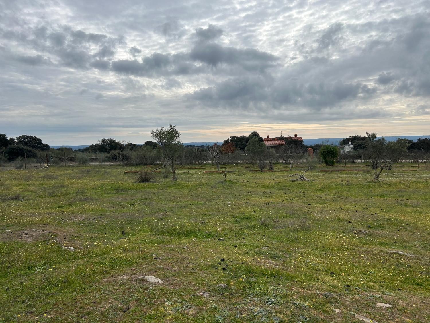  à vendre maison de campagne Serradilla Monfragüe 17