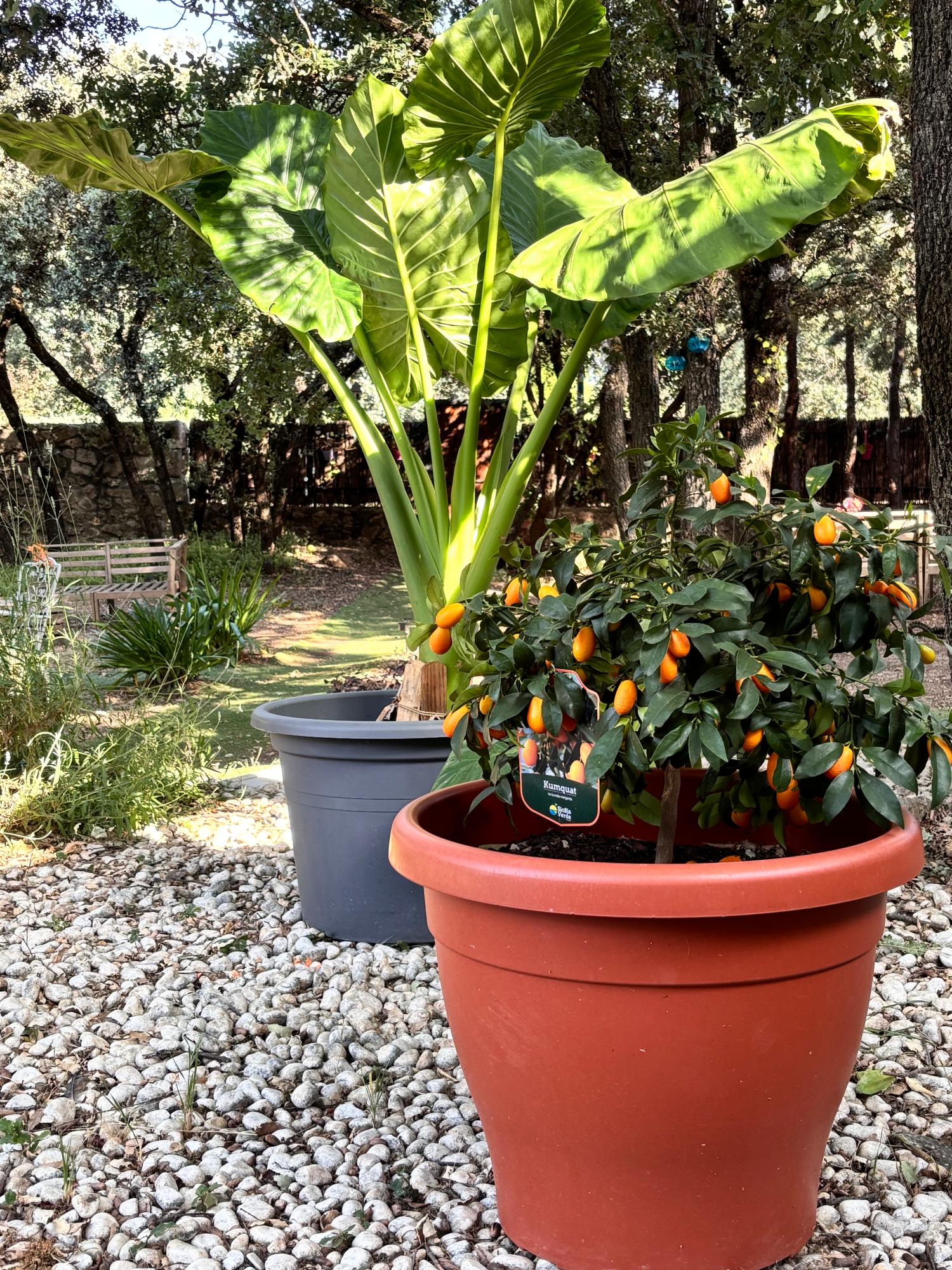  à vendre villa Cotos De Monterrey Sierra Norte 38