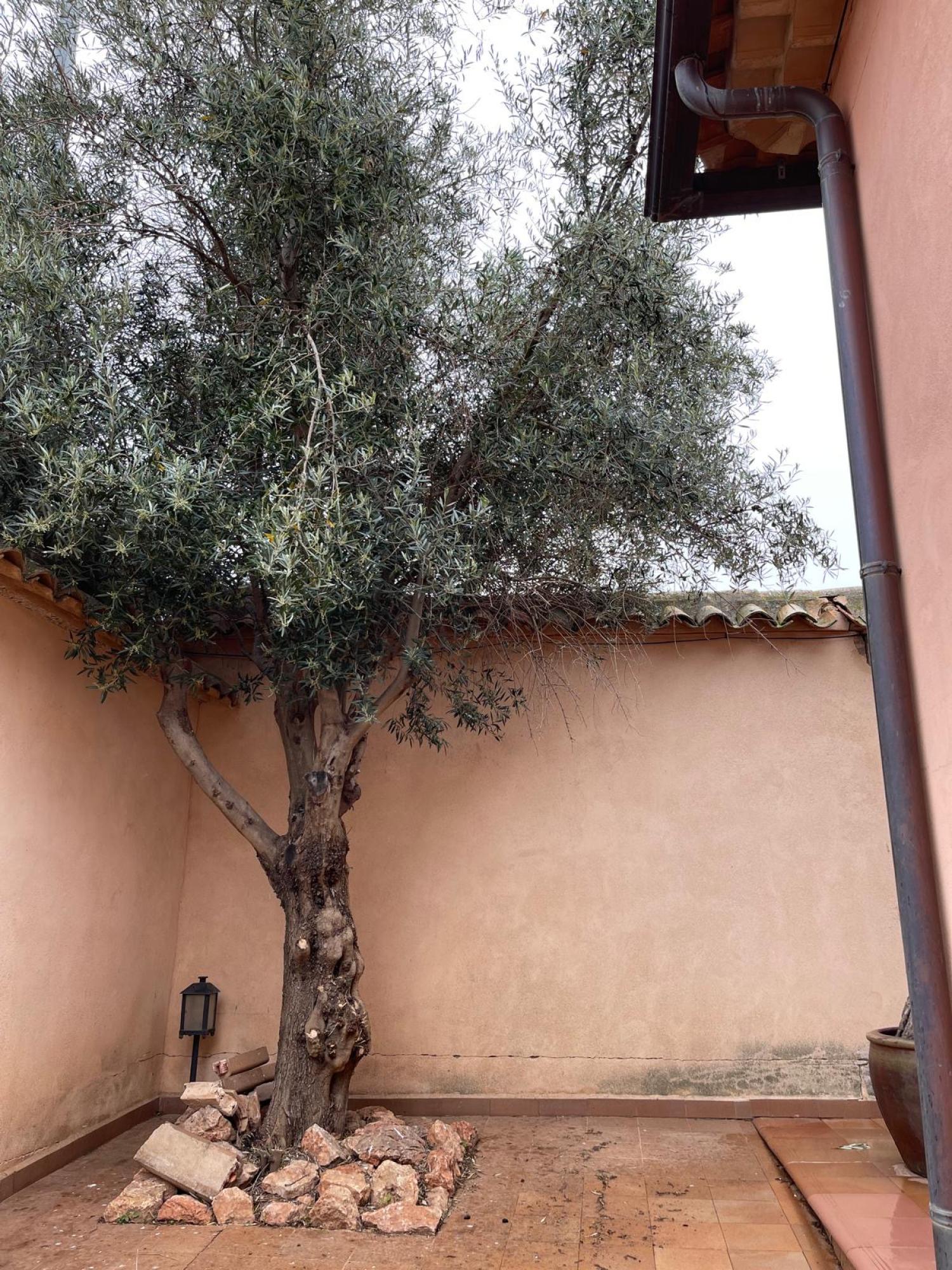  à vendre villa Ossa De Montiel Sierra De Alcaraz 13