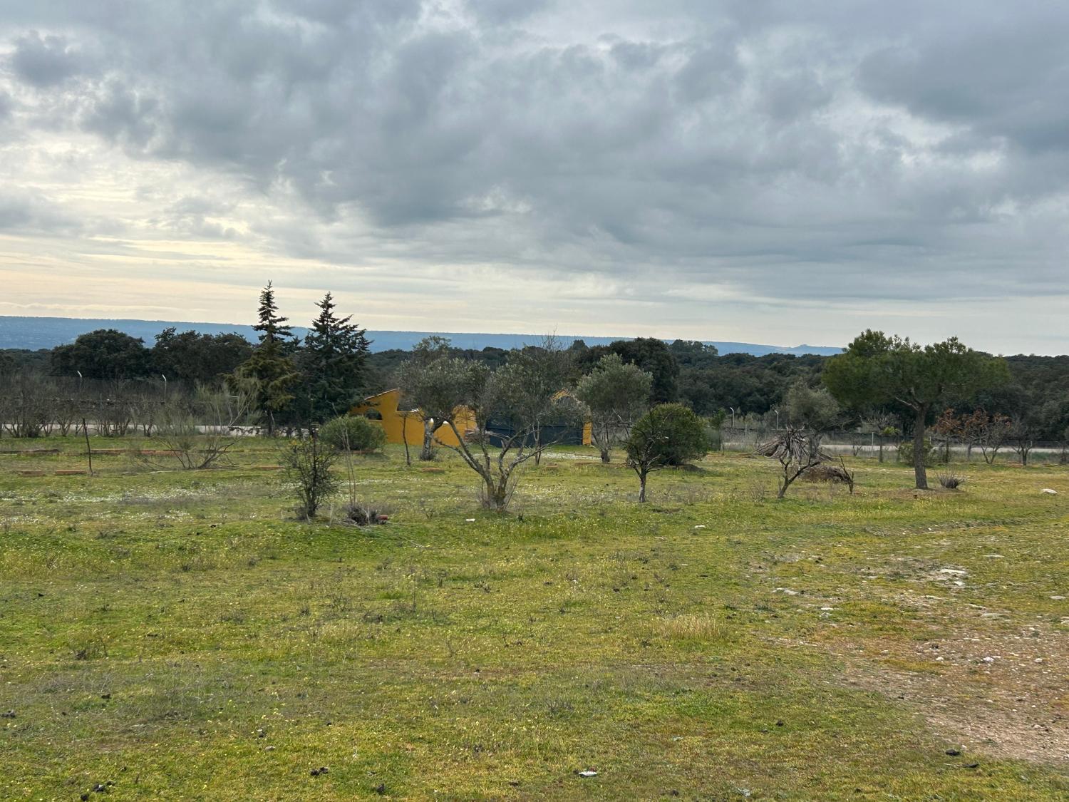  à vendre maison de campagne Serradilla Monfragüe 16
