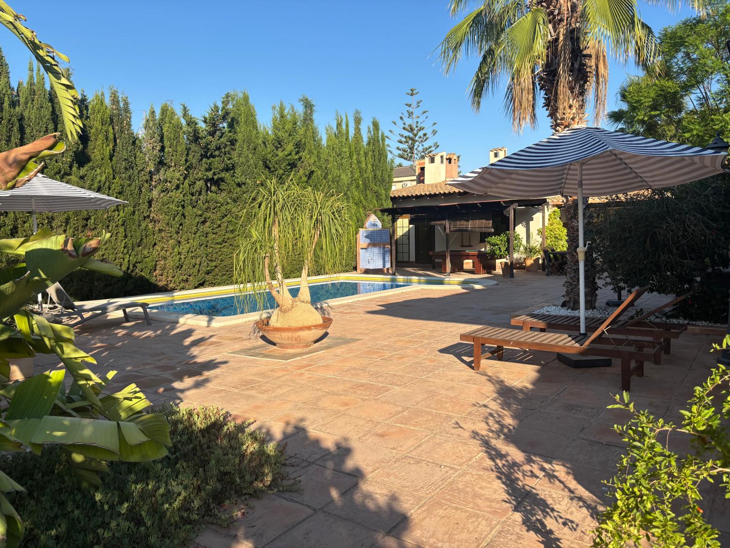  à vendre villa San Vicente Del Raspeig Alacantí 18