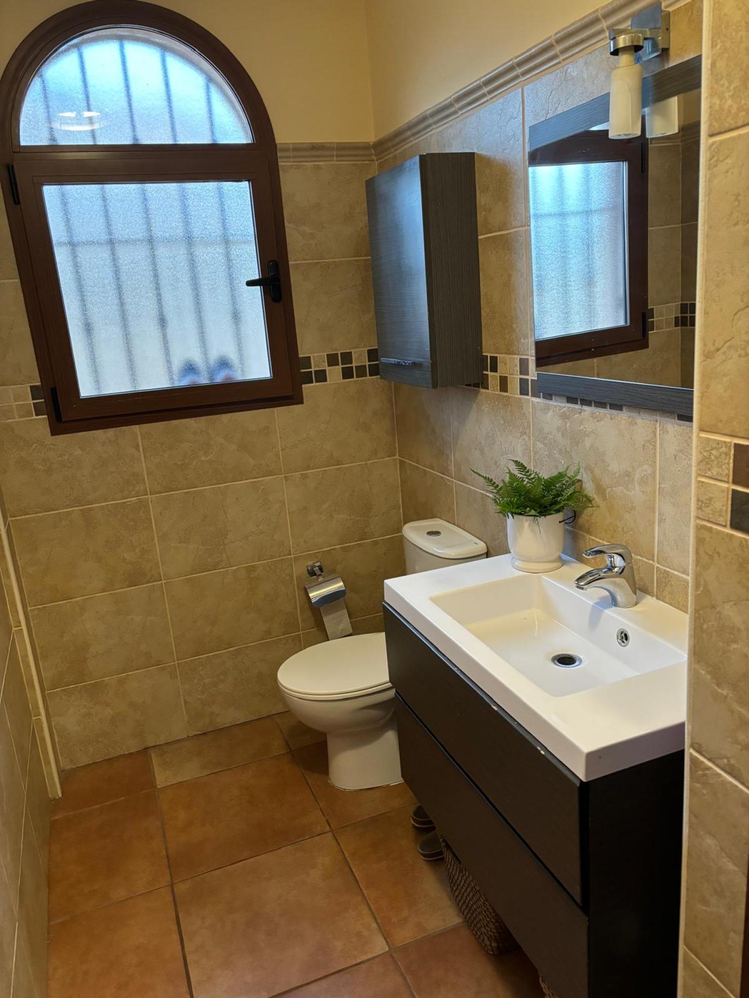  à vendre villa Bigastro Baix Segura 14