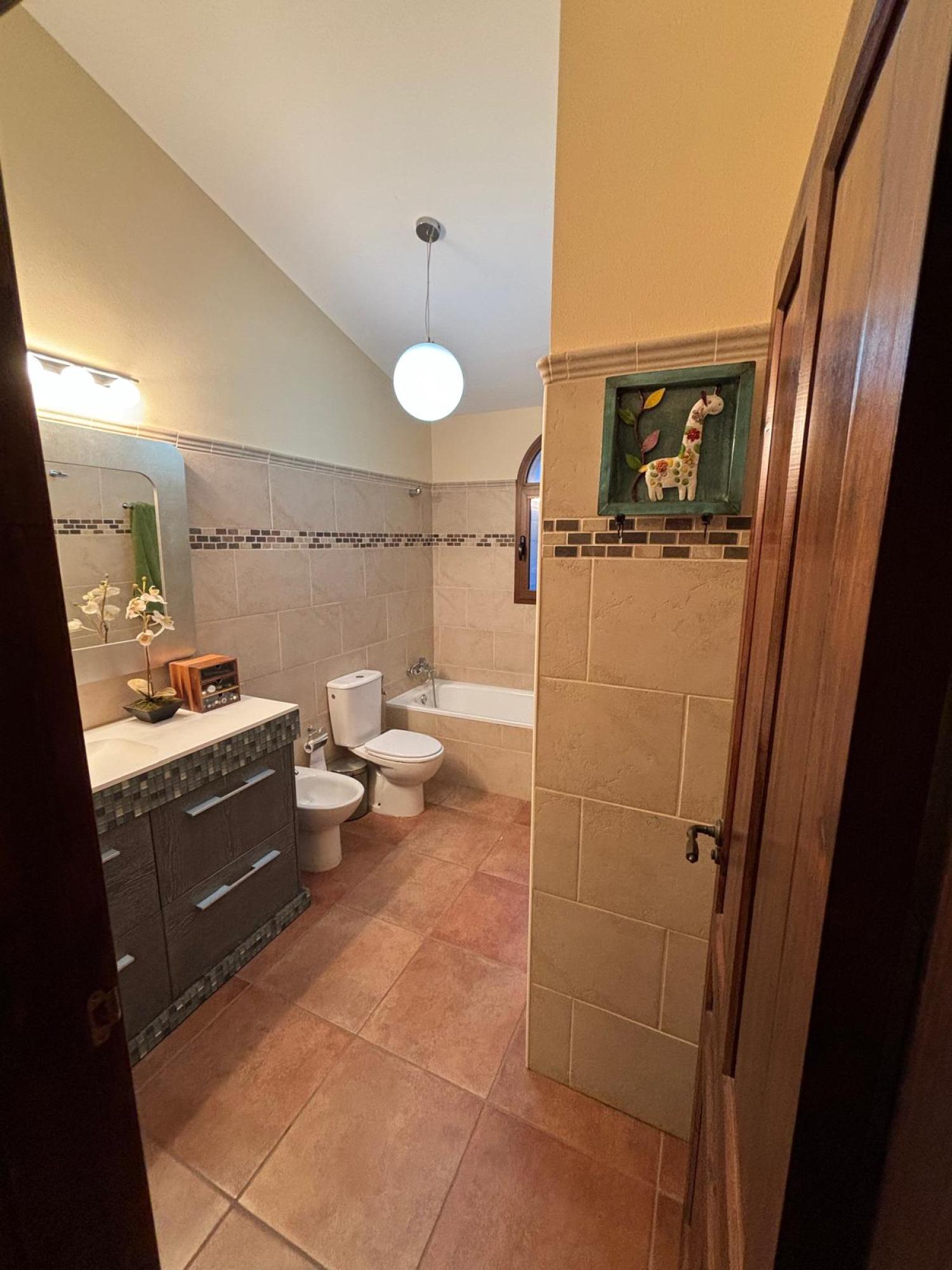  à vendre villa Bigastro Baix Segura 19