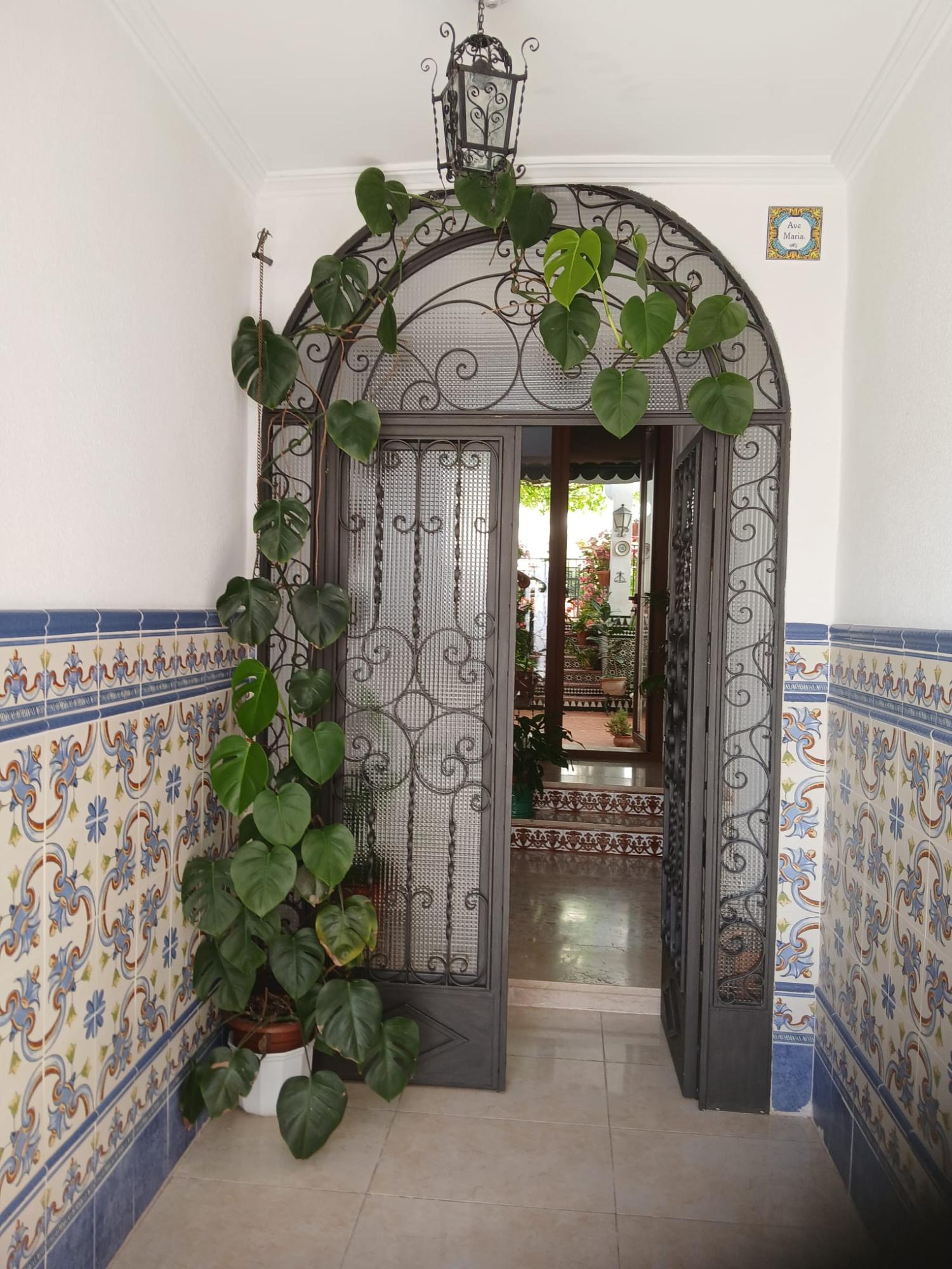  à vendre maison Cabra Subbética 8