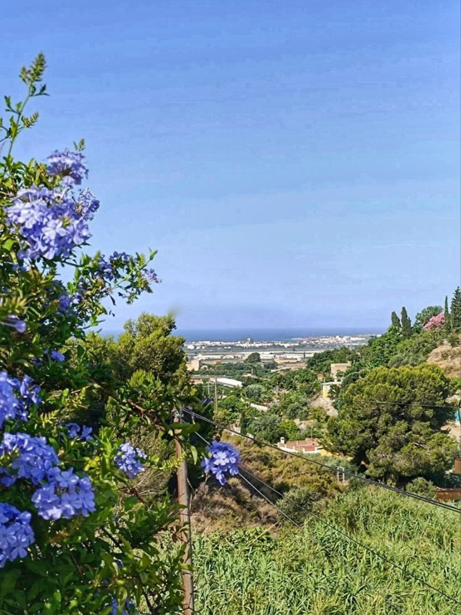  à vendre maison de campagne Motril Costa Tropical 28
