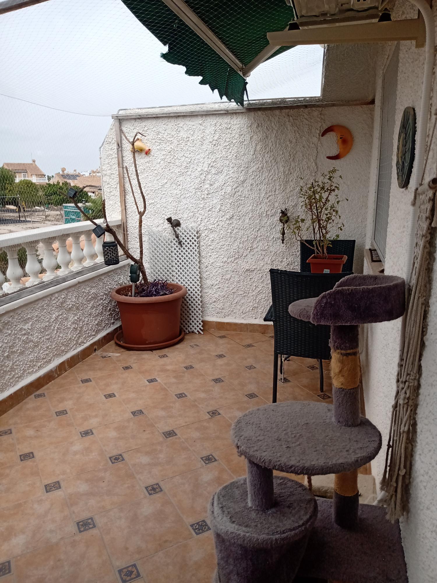 à vendre maison jumelée Orihuela Costa Baix Segura 7