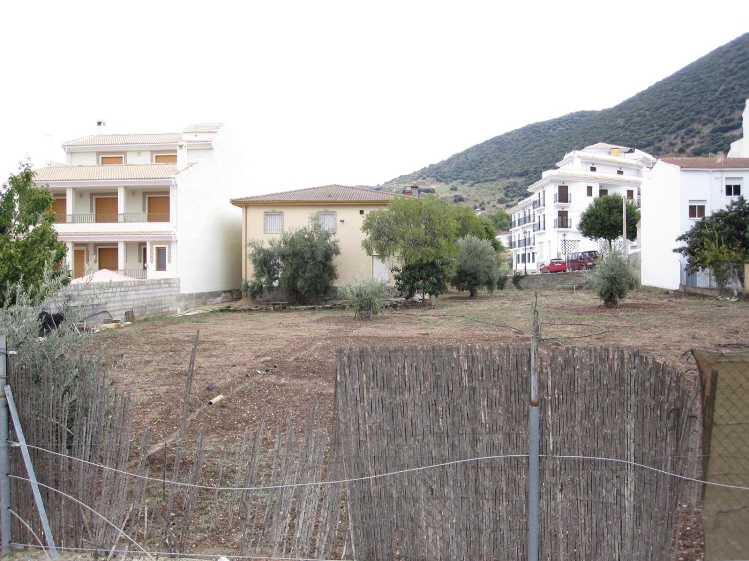  à vendre maison Arbuniel Sierra Mágina 31