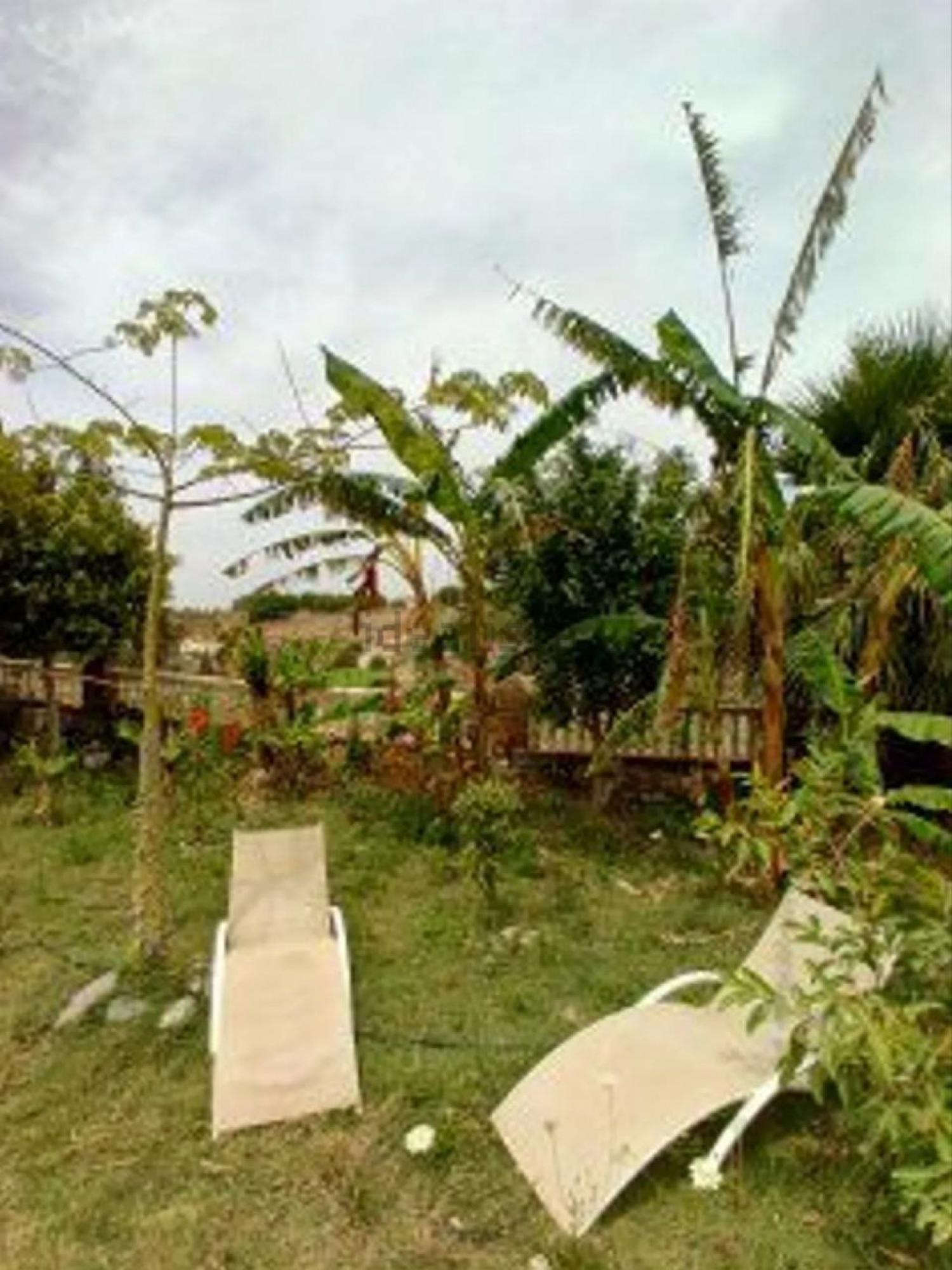  à vendre maison de campagne Motril Costa Tropical 26