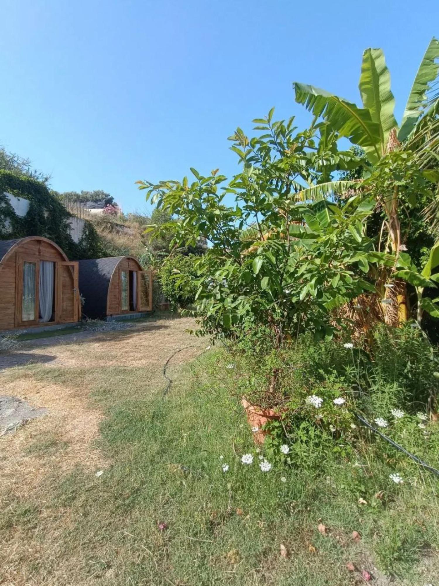  à vendre maison de campagne Motril Costa Tropical 23