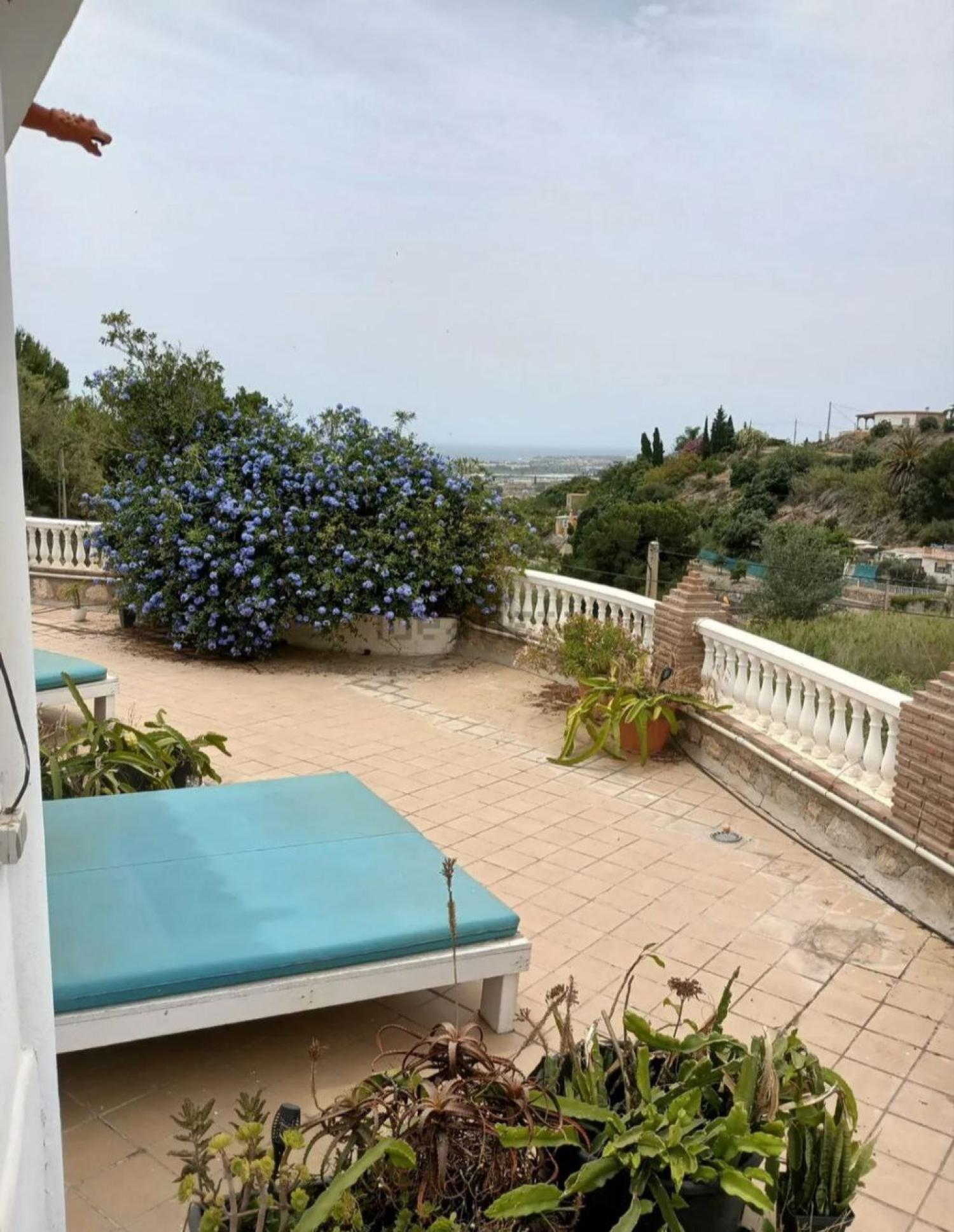  à vendre maison de campagne Motril Costa Tropical 31
